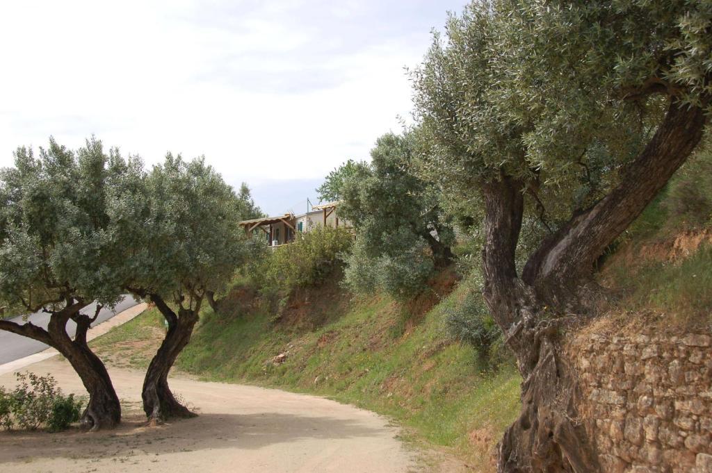 Càmping Terra Alta Bot Bagian luar foto