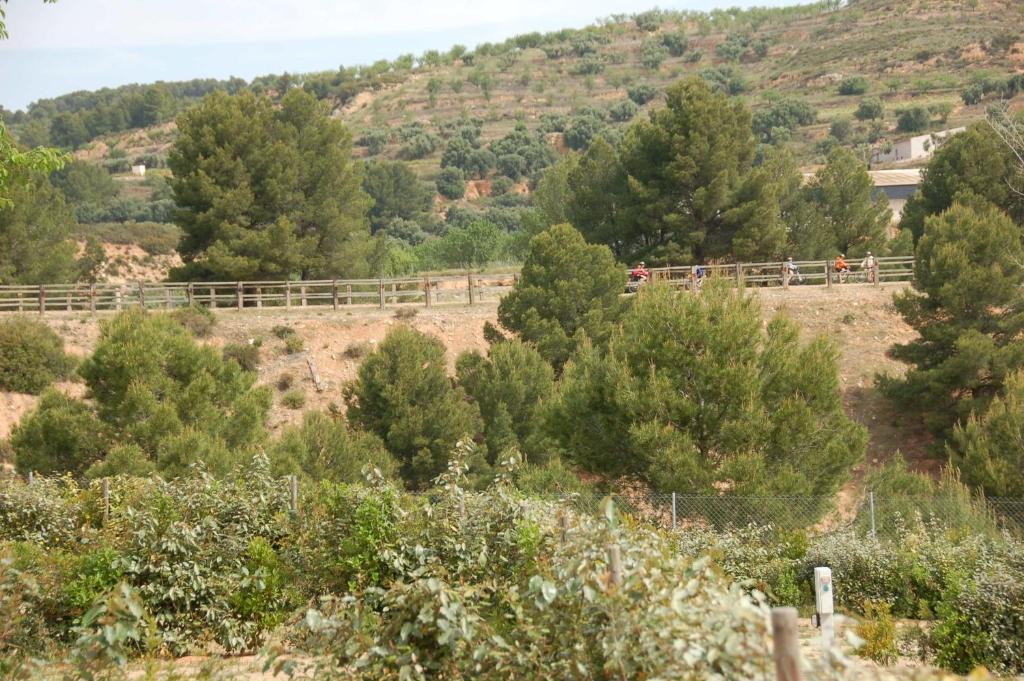 Càmping Terra Alta Bot Bagian luar foto