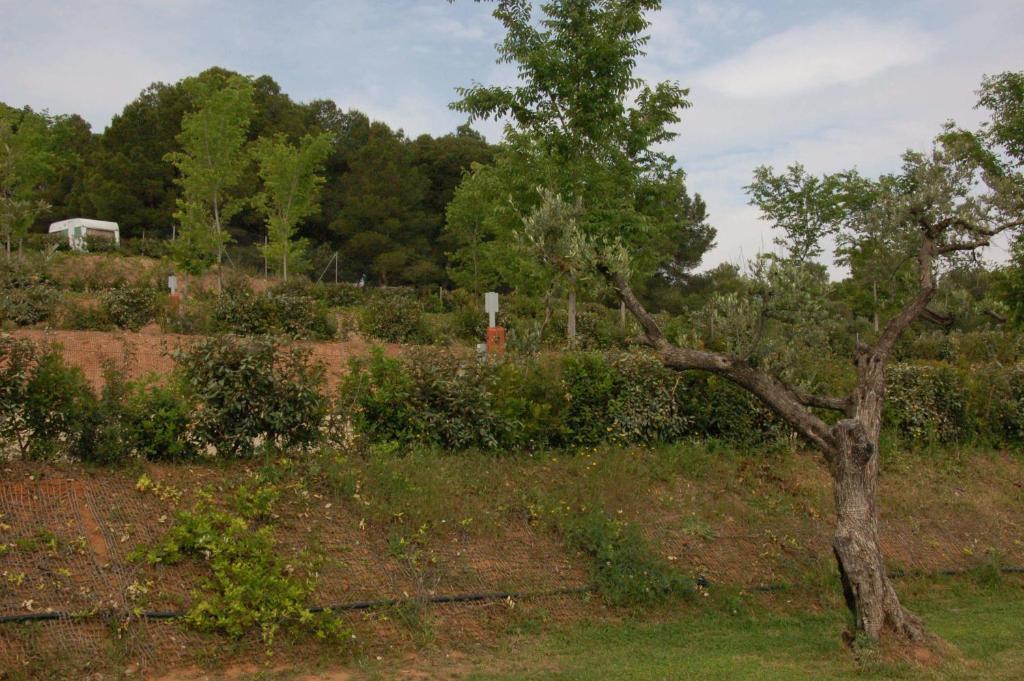 Càmping Terra Alta Bot Bagian luar foto
